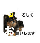 Ranmaru.（個別スタンプ：2）