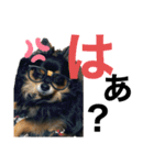 Ranmaru.（個別スタンプ：4）