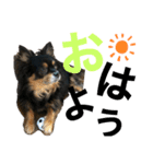 Ranmaru.（個別スタンプ：7）