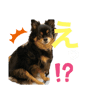 Ranmaru.（個別スタンプ：9）