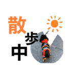 Ranmaru.（個別スタンプ：11）