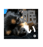 Ranmaru.（個別スタンプ：14）