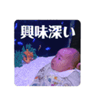 みらいちゃんのスタンプその1（個別スタンプ：28）