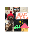 かわいいうちのわんちゃんたち（個別スタンプ：4）