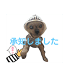 かわいいうちのわんちゃんたち（個別スタンプ：7）