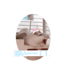 ジャンガリアンハムスター ごま（個別スタンプ：11）