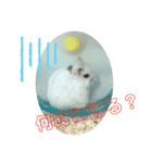 ジャンガリアンハムスター ごま（個別スタンプ：15）
