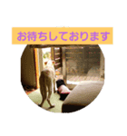 あずき＆だいず（個別スタンプ：4）