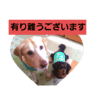 あずき＆だいず（個別スタンプ：7）