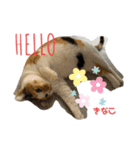猫すたんぷ♪♪（個別スタンプ：2）