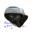 猫すたんぷ♪♪（個別スタンプ：6）