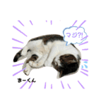 猫すたんぷ♪♪（個別スタンプ：10）