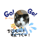 猫すたんぷ♪♪（個別スタンプ：14）