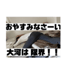 たいがくんまみれ（個別スタンプ：5）