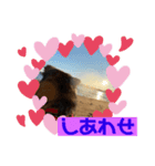 愛犬リキスタンプ2（個別スタンプ：1）