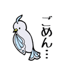 蝶かわいい鳥（個別スタンプ：25）