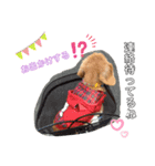 くきたん②（個別スタンプ：2）