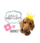 くきたん②（個別スタンプ：6）