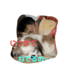 おめでとうクゥちゃんスタンプ（個別スタンプ：14）