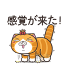 ランラン猫 17 (日本語)（個別スタンプ：11）