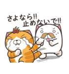 ランラン猫 17 (日本語)（個別スタンプ：20）