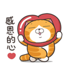 ランラン猫 17 (台湾版)（個別スタンプ：8）
