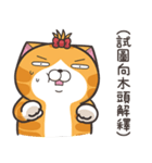 ランラン猫 17 (台湾版)（個別スタンプ：18）