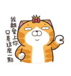 ランラン猫 17 (台湾版)（個別スタンプ：30）
