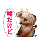 みんなの！！？からあげスタンプ（個別スタンプ：11）