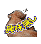 みんなの！！？からあげスタンプ（個別スタンプ：13）
