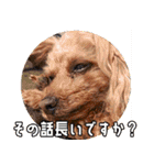 みんなの！！？からあげスタンプ（個別スタンプ：18）