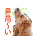 みんなの！！？からあげスタンプ（個別スタンプ：19）