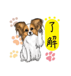 小型犬＆中型犬、大集合！（個別スタンプ：2）