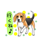 小型犬＆中型犬、大集合！（個別スタンプ：25）