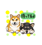 小型犬＆中型犬、大集合！（個別スタンプ：26）