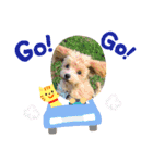 ほしココちゃんスタンプ（個別スタンプ：3）