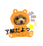 ほしココちゃんスタンプ（個別スタンプ：14）