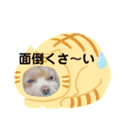 ほしココちゃんスタンプ（個別スタンプ：15）