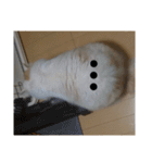 ラガマフィンのさすけ ひらがな2（個別スタンプ：5）