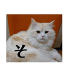 ラガマフィンのさすけ ひらがな2（個別スタンプ：9）