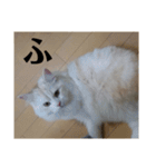 ラガマフィンのさすけ ひらがな2（個別スタンプ：14）