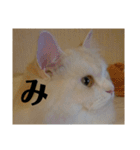 ラガマフィンのさすけ ひらがな2（個別スタンプ：17）