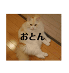 ラガマフィンのさすけ ひらがな2（個別スタンプ：28）