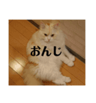 ラガマフィンのさすけ ひらがな2（個別スタンプ：30）
