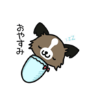 ハッピー☆パピヨン（個別スタンプ：3）