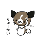 ハッピー☆パピヨン（個別スタンプ：4）