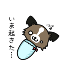 ハッピー☆パピヨン（個別スタンプ：9）