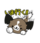 ハッピー☆パピヨン（個別スタンプ：10）