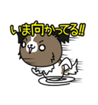 ハッピー☆パピヨン（個別スタンプ：11）