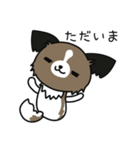 ハッピー☆パピヨン（個別スタンプ：13）